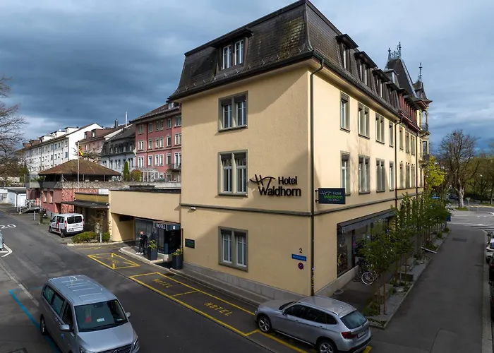 Hotel que admite mascotas: Hotel Waldhorn